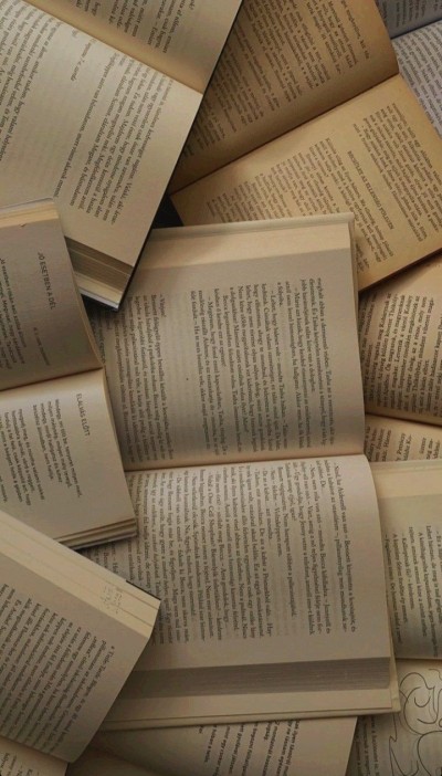 Eu vou cria uma biografia para seu blog e redação com ate 2500 características.