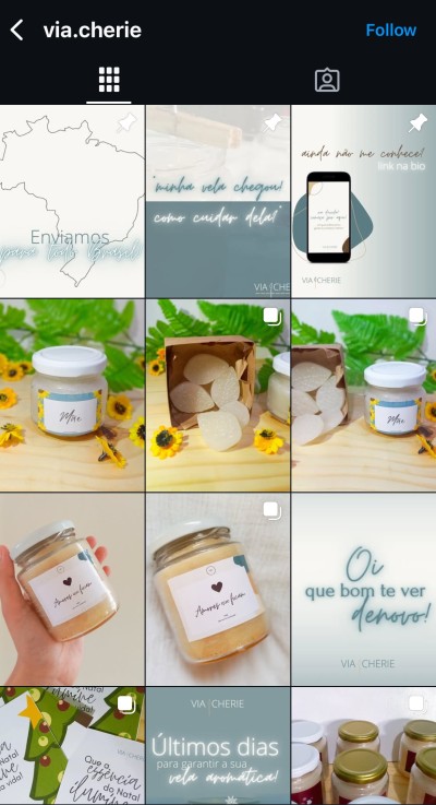 organizar Instagram profissional (feed,storys,legendas,posts,reels e etc)