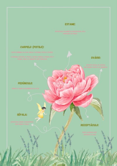 Criar seu mapa mental